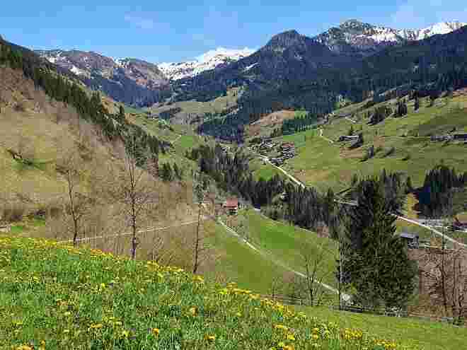 Frühlingstal