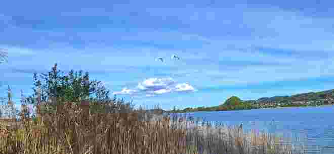 Blick auf den See