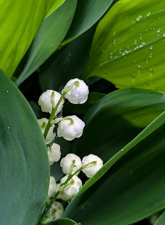 . . .  Köpfchen hoch , die Sonne scheint !