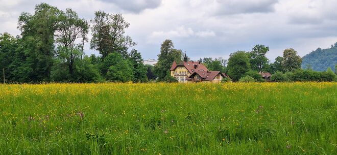 Der Regen ist für die Natur ein Segen!
