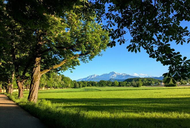 Abendsonnenfarben . . . 