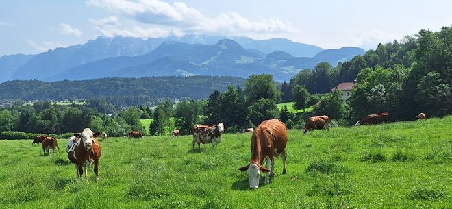 Ein Feiertagsspaziergang