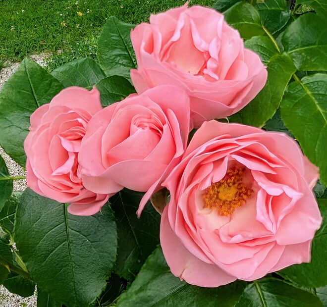 . . . und auch am Friedhof . . . .