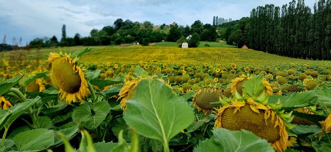 "Da geht die Sonne auf"