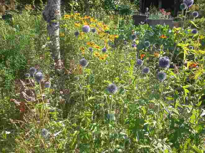 Ein Garten wie von Monet....