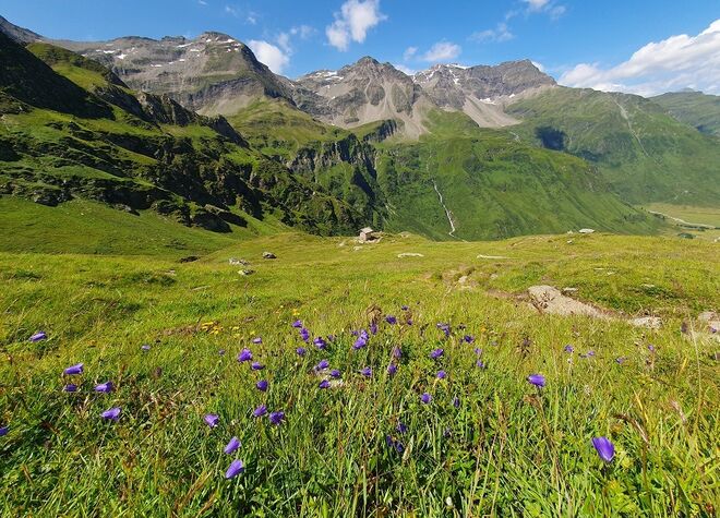 Wieder ein herrlicher Bergsommertag