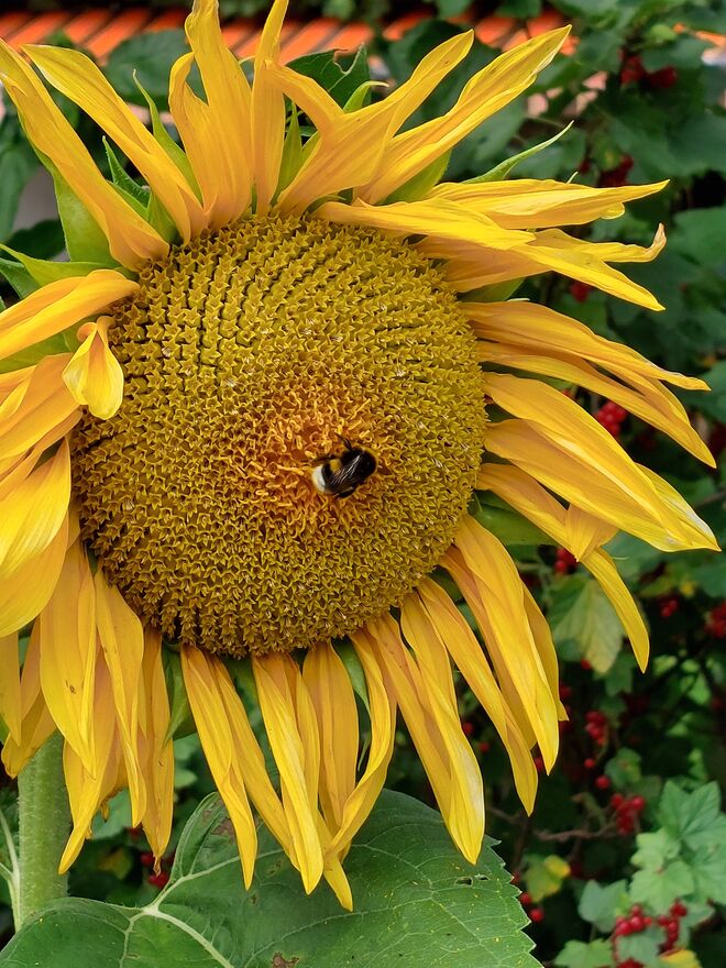 Geben und Nehmen ...