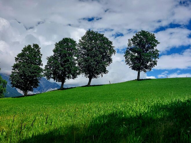 .... denn es will Abend werden ....