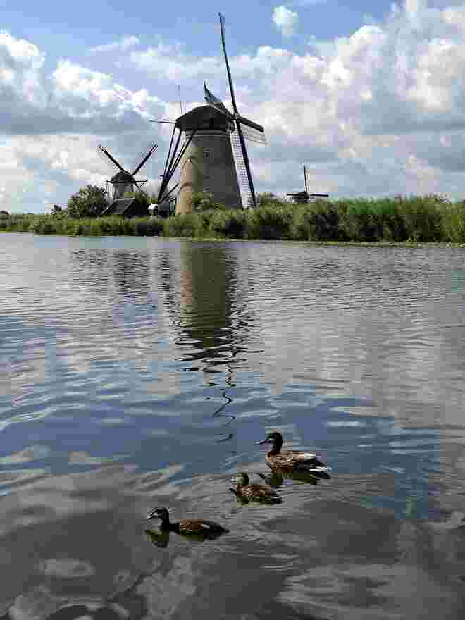Windmühlen in Holland 2