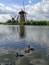 Windmühlen in Holland 2