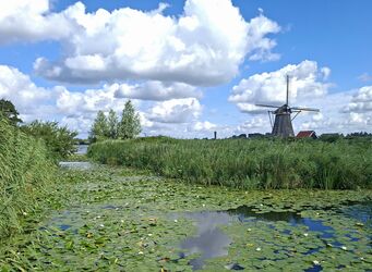 Windmühlen in Holland 