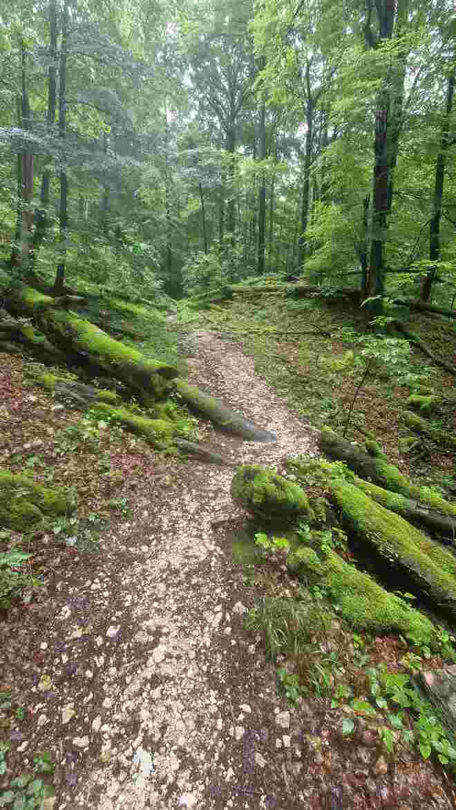Rosittental zum Untersberg 