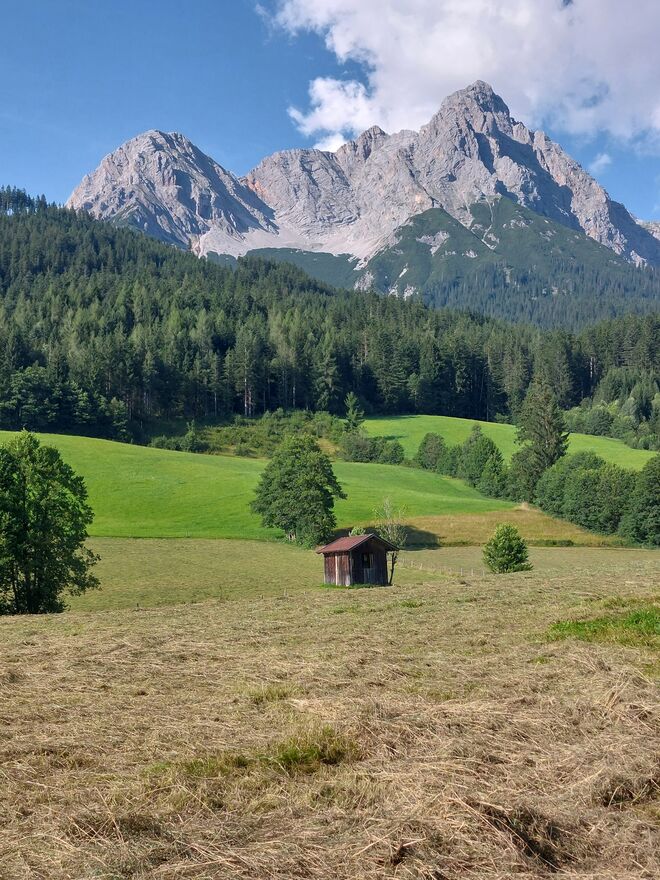 Vom Heu der Duft liegt in der Luft  ...