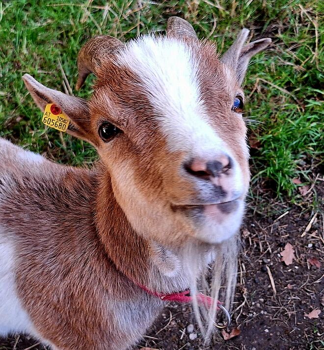 Immer ein Lächeln im Gesicht