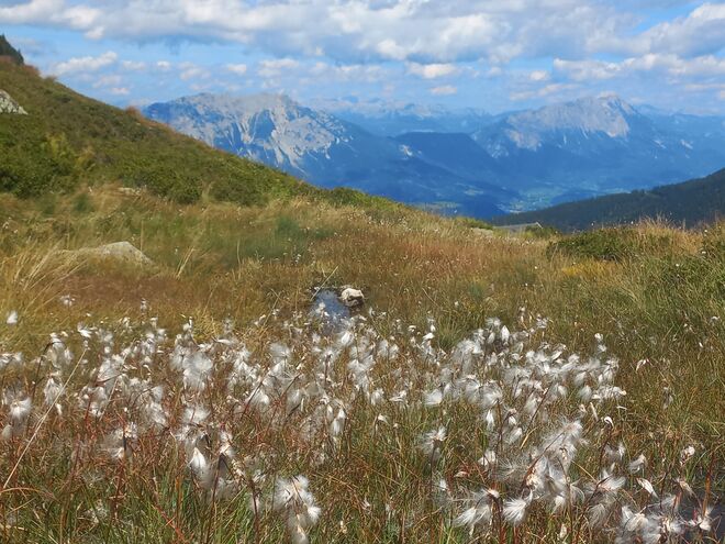 In den Schladminger Tauern.....