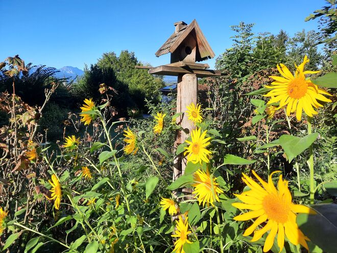 Es ist "angerichtet"