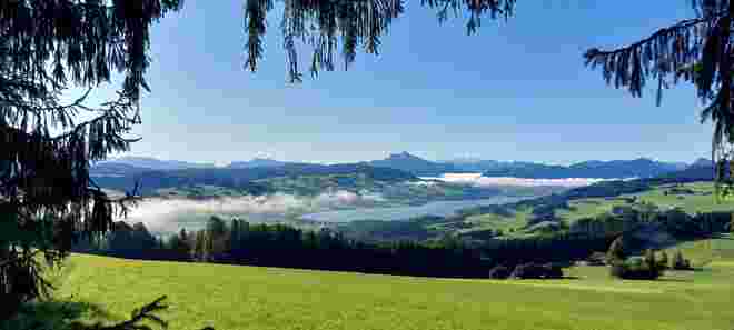 Herbstmorgen