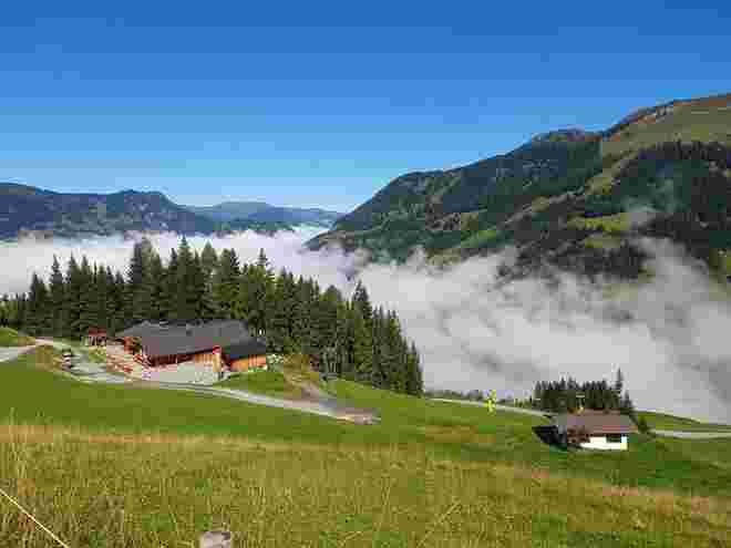 Talnebel