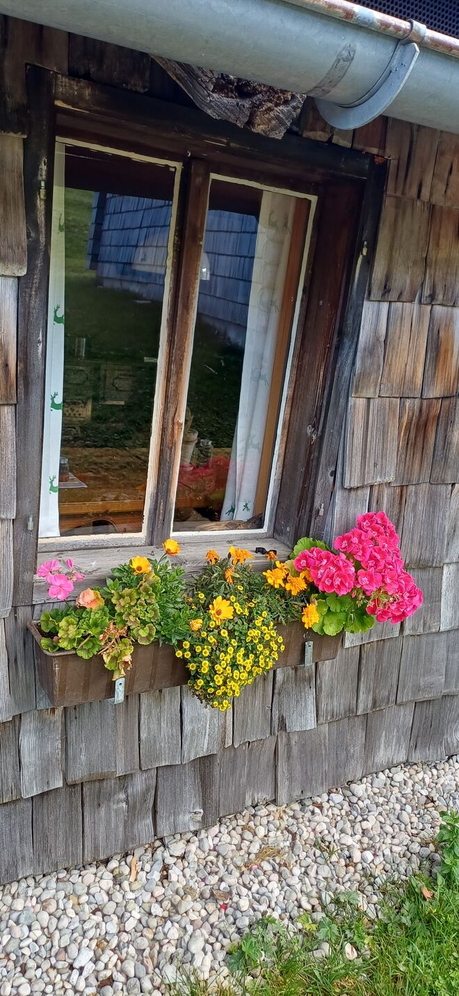 Blumenfenster