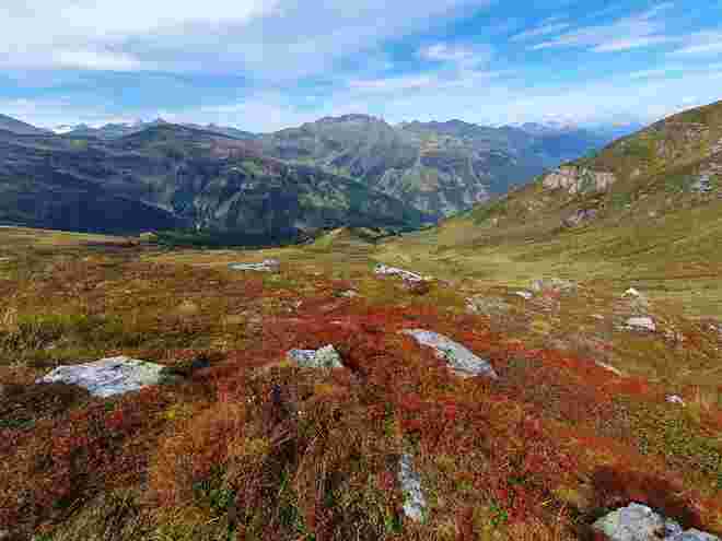 Herbstgruß