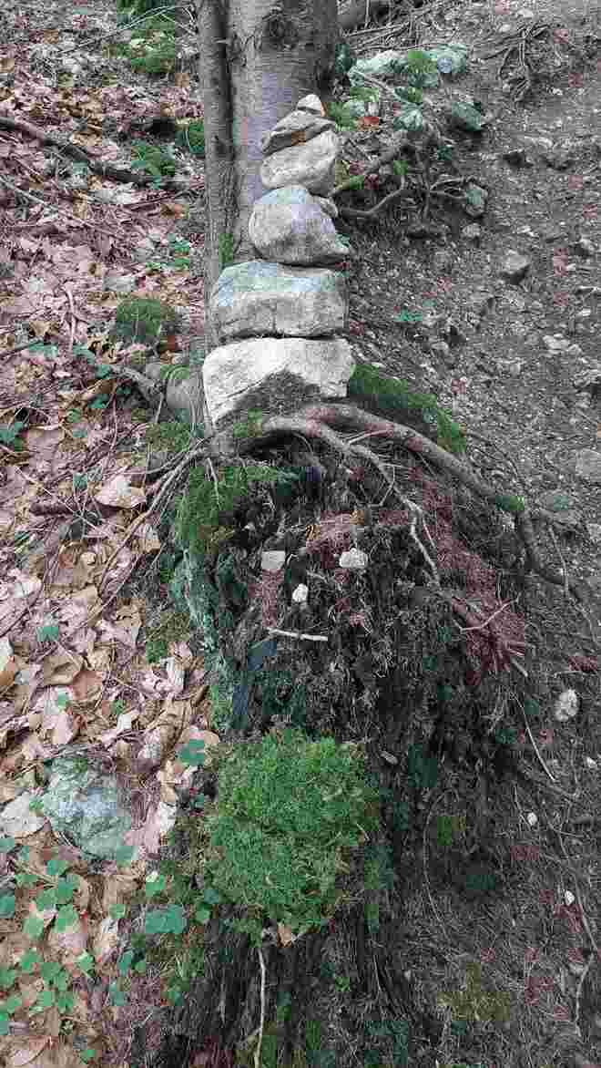 Die Sage vom Untersberg