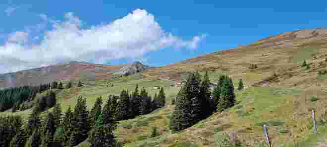 Am Hochsonnberg