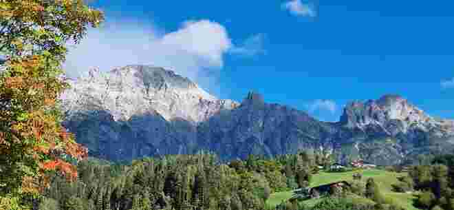 Das Birnhorn 