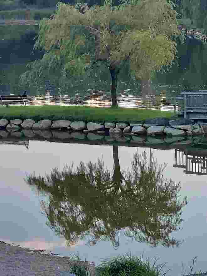 Abends am See