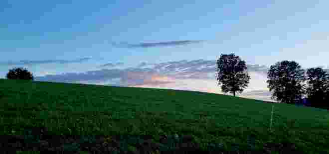 Feine Abendstimmung 