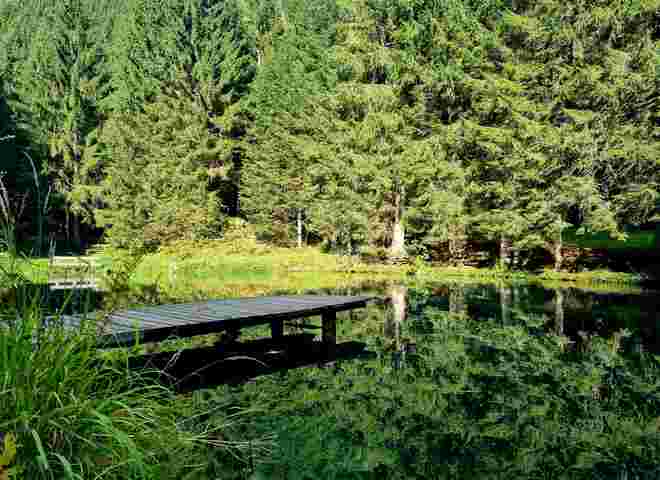 Teich in Bad Fusch