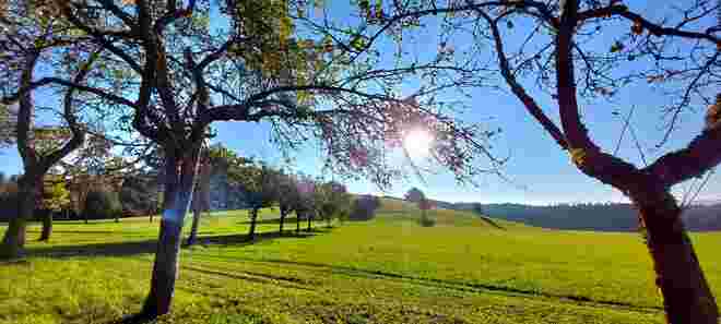 Herbstsonne