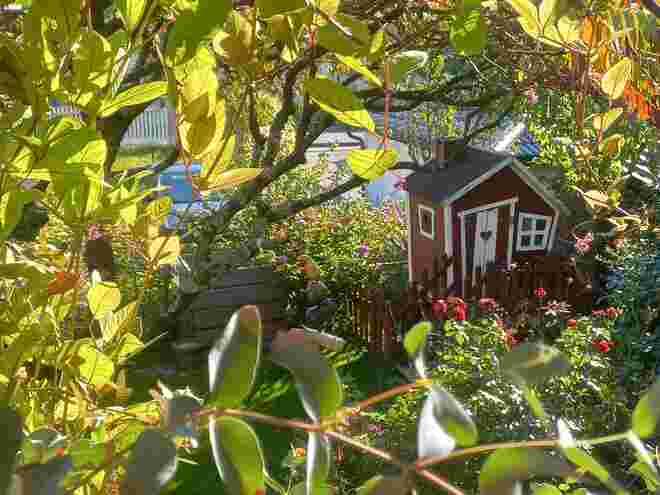 In unserem Garten.....