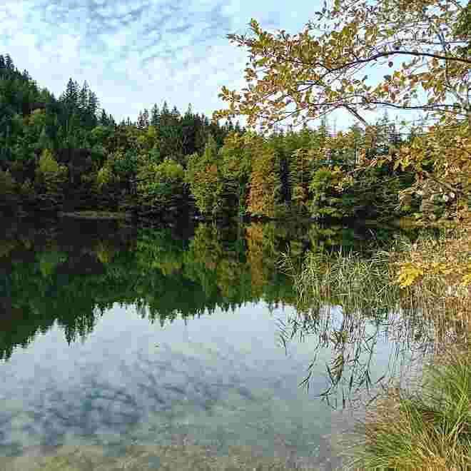 Herbstzeit 