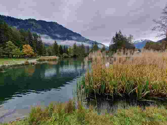 Herbststimmung