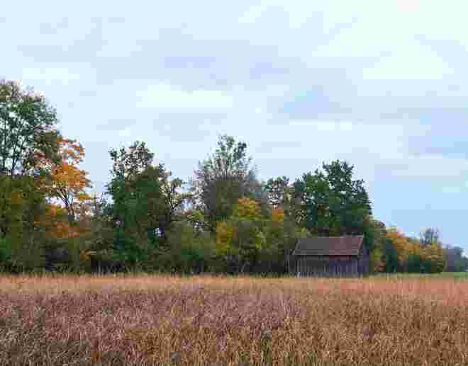 Herbst im Wenger Moor