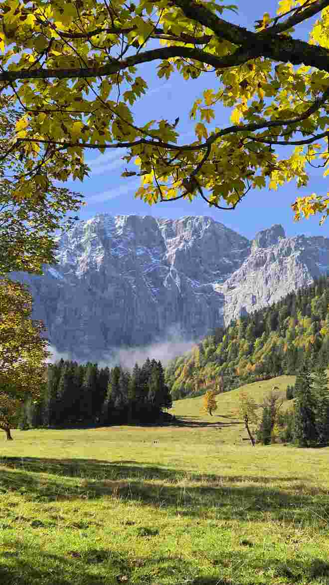 Großer Ahornboden