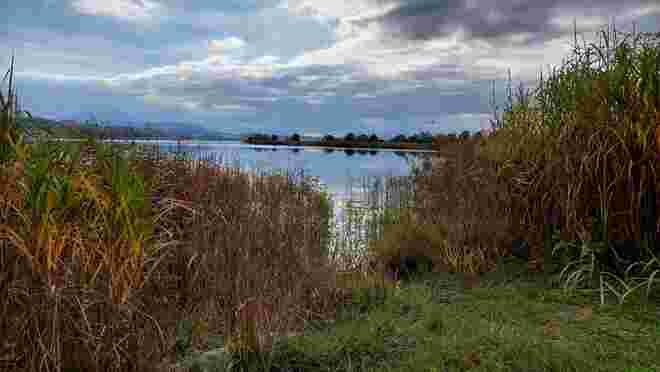 Herbst am Wallersee