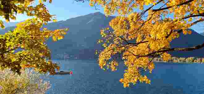 Goldener Herbst 
