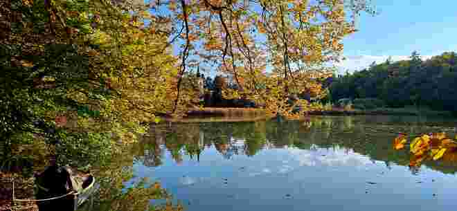 Herbst in all seiner Pracht - vorgestern :)