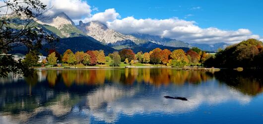 Tolle Herbstfarben 