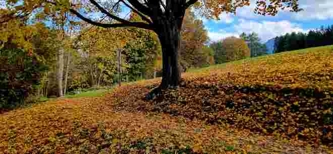 Herbstlicher Flair 