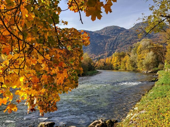 Herbstimpression aus Bad Ischl - im Bild die Traun