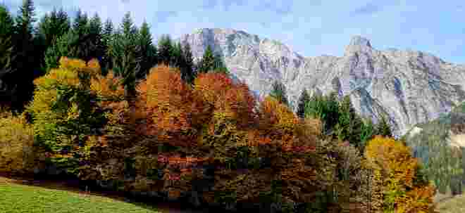 Birnhorn 