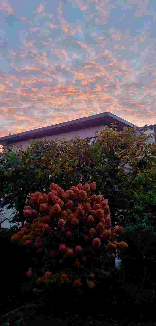 Besondere Stimmung 