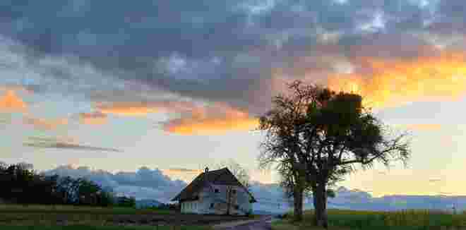 Was die Natur uns alles schenkt 