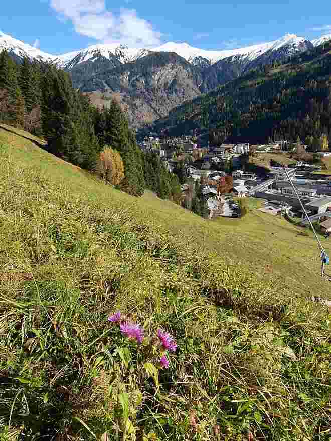 Es scheint wieder die Sonne