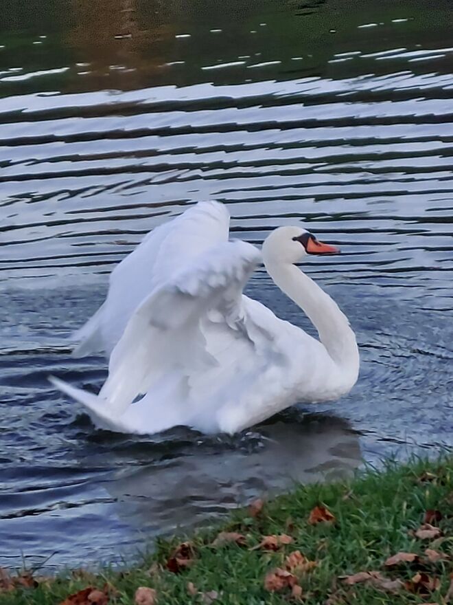 Mit Engelsflügeln unterwegs ....