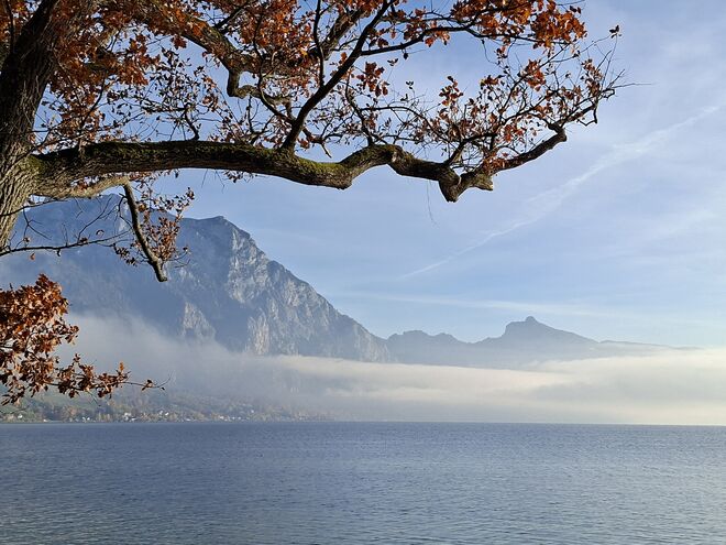 Der Nebel lichtet sich