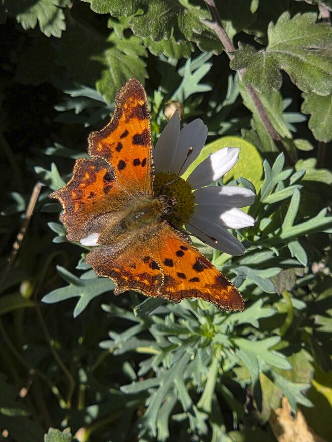 Sogar noch im November unterwegs!