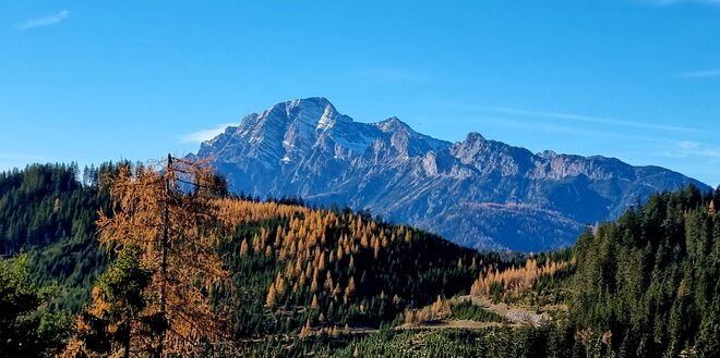 Herbstliche Steinberge 